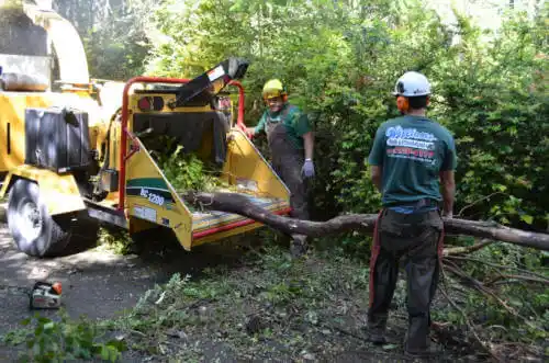 tree services Medicine Lodge